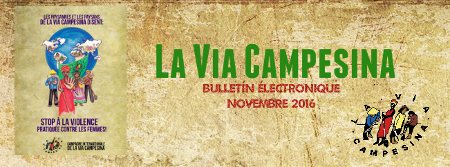 Bulletin électronique de la Via Campesina – Novembre 2016